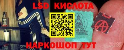 крисы Кимры