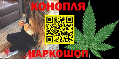 крисы Кимры