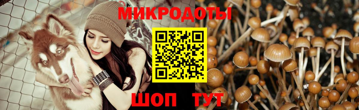 Корсаков  Псилоцибиновые грибы Magic Shrooms  Галлюциногенные грибы мицелий  Вход с VPN 
